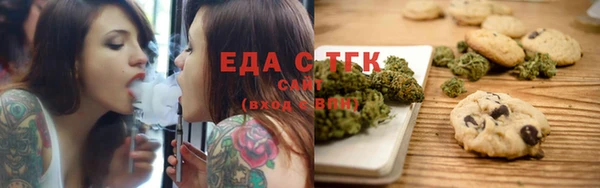 МДПВ Вяземский