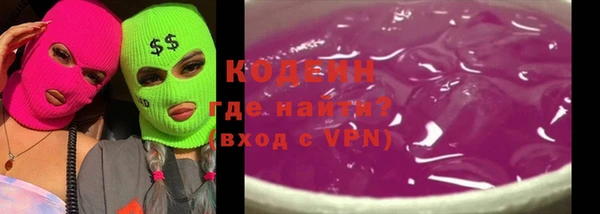 МДПВ Вяземский