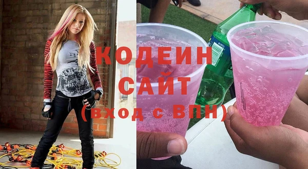 МДПВ Вяземский