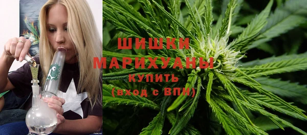 МДПВ Вяземский