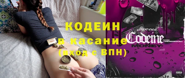 МДПВ Вяземский