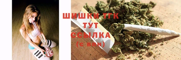 МДПВ Вяземский