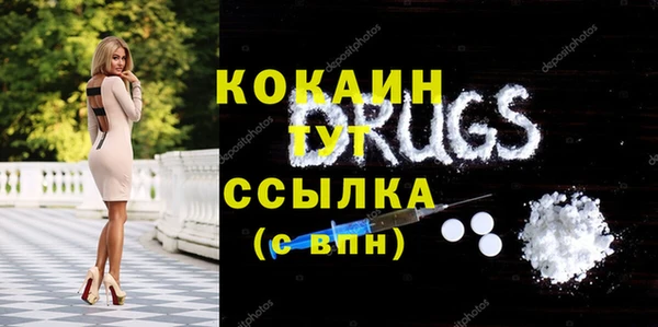 МДПВ Вяземский