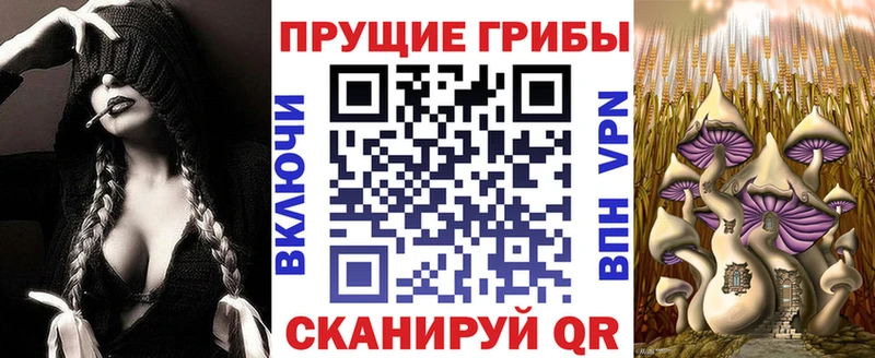 Галлюциногенные грибы мицелий  Игарка 